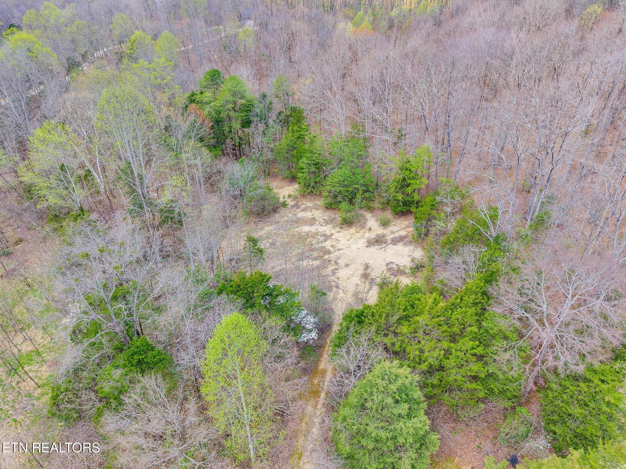 6.12-ac Cave Valley Road Byrdstown, TN 38549 - Photo 6 of 11 5