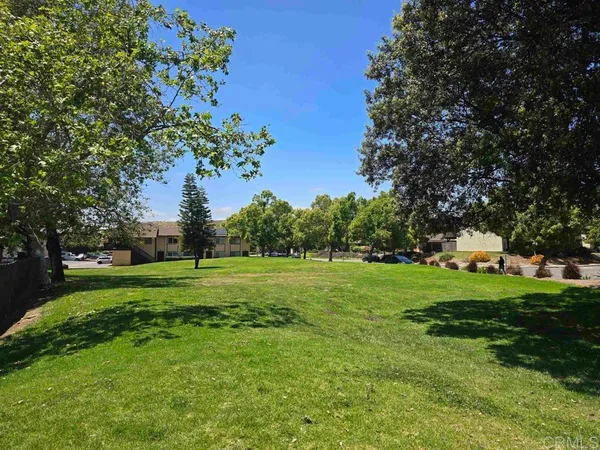 a big yard with lots of green space and plants