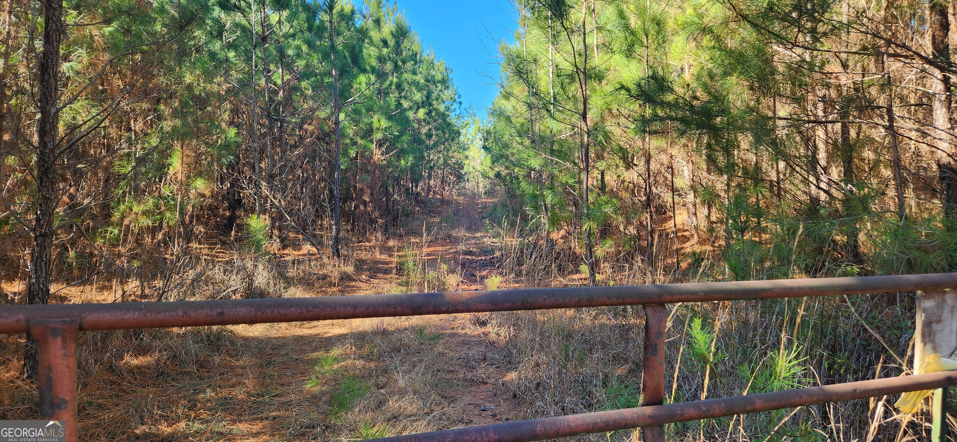 0 Jaudon Road, Unit 22 19 ACRE LOT) Elberton, GA 30635 - Photo 4 of 6