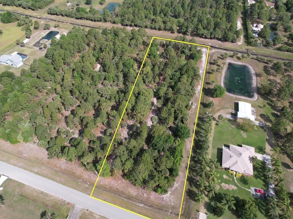 212 Deer Run Road Palm Bay, FL 32909 - Photo 5 of 15 a view of a yard with plants
