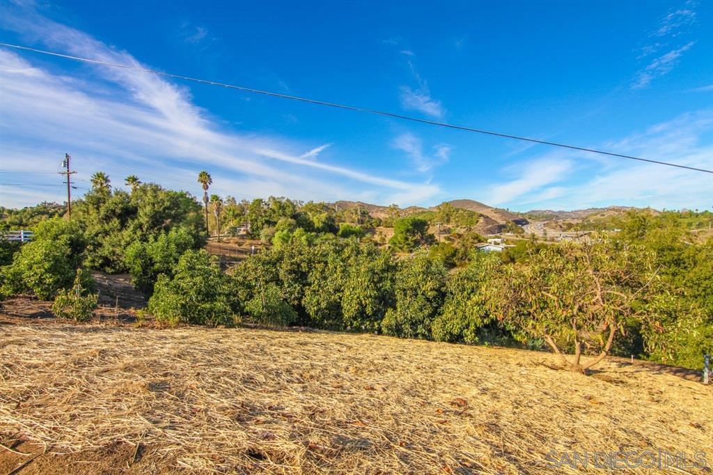671 Ranger Road Fallbrook, CA 92028 - Photo 24 of 25 Grove