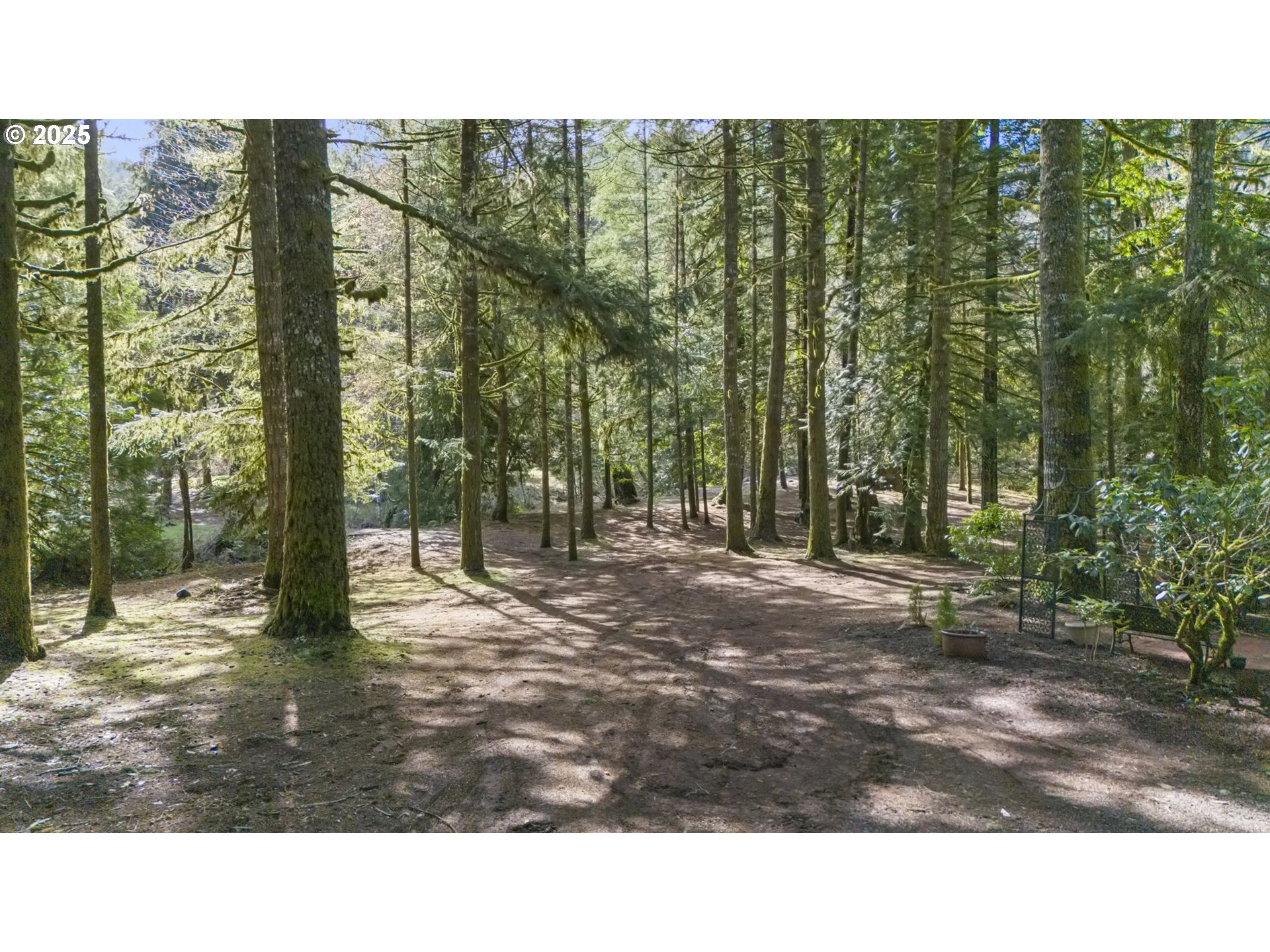 22276 Vaughn Road Veneta, OR 97487 - Photo 30 of 39