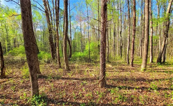 $40,000 | 5091 Donna Marie Court, Walkertown, NC 27051