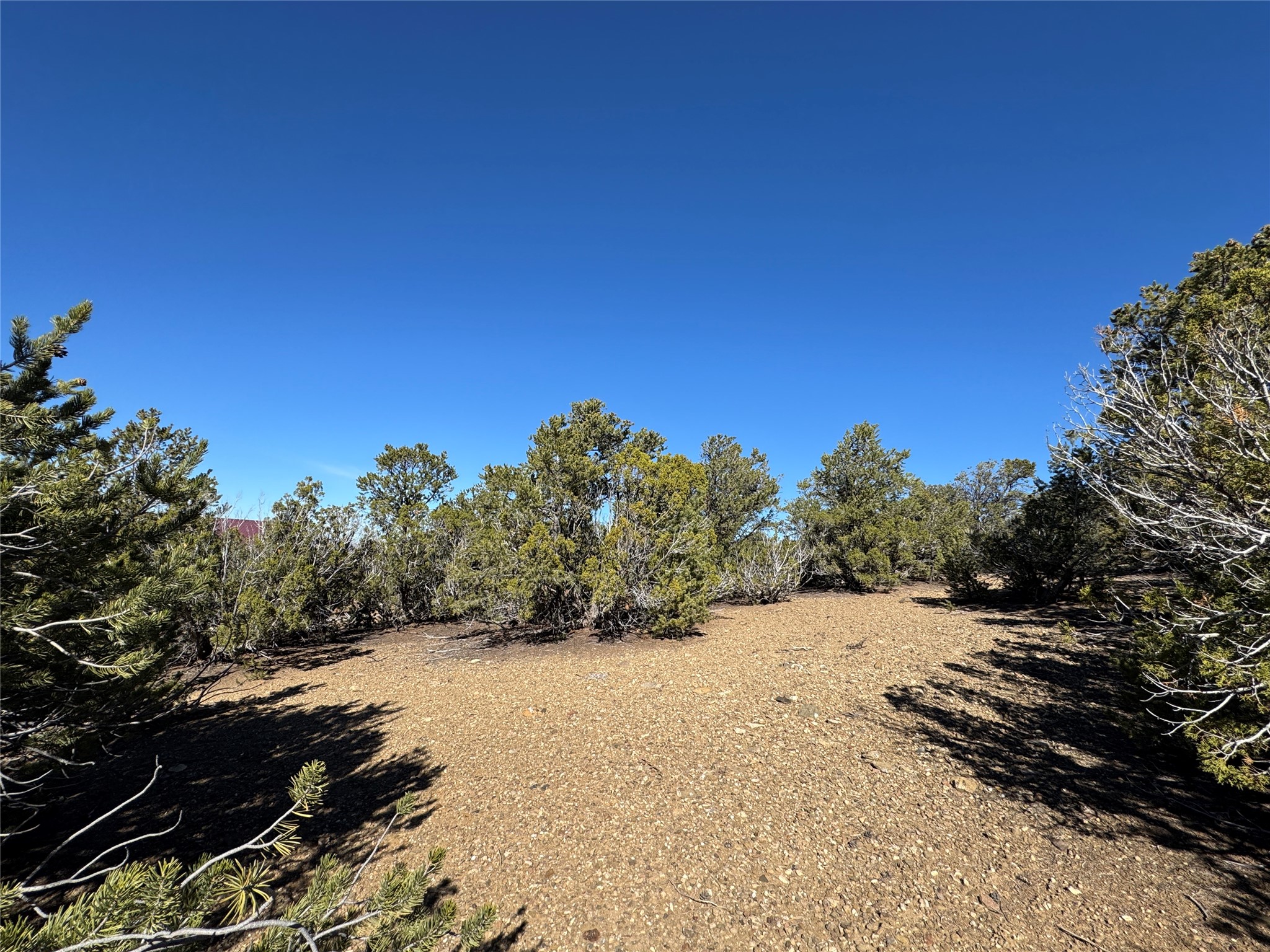 4 Verde Road Taos, NM 87571 - Photo 4 of 16