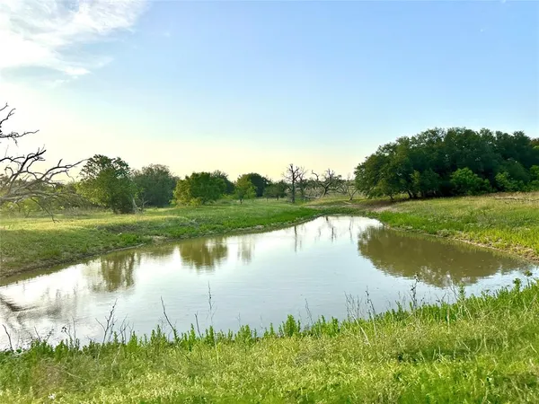 a body of water with a tree in the background