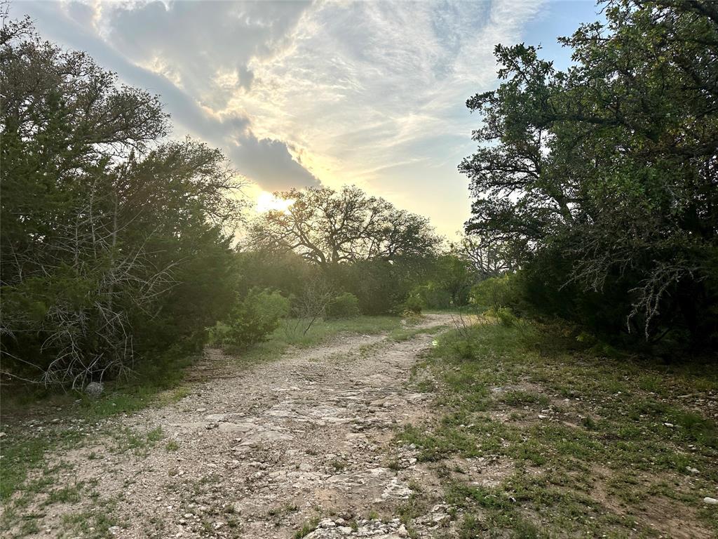 3023 S South Goldthwaite, TX 76844 - Photo 12 of 40 a view of a yard with plants and large trees