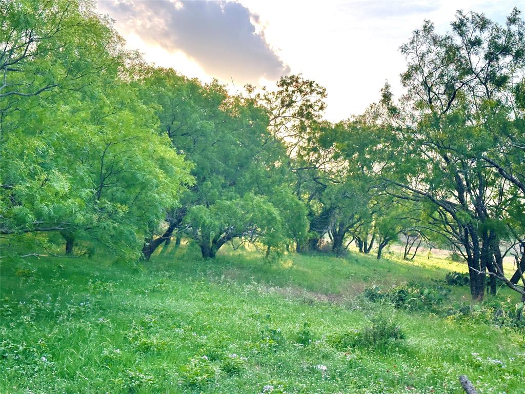3023 S South Goldthwaite, TX 76844 - Photo 15 of 40 a green field with lots of trees