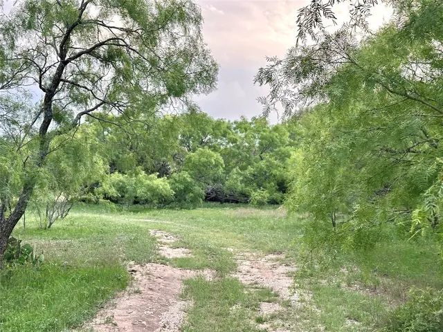 a view of a green field with lots of bushes