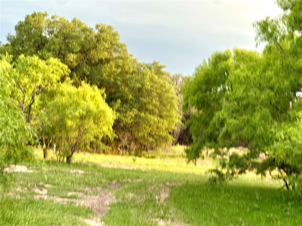 3023 S South Goldthwaite, TX 76844 - Photo 17 of 40 a view of yard with green space