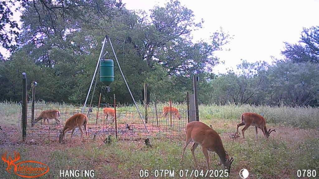 3023 S South Goldthwaite, TX 76844 - Photo 18 of 40 a view of backyard with plants and outdoor seating