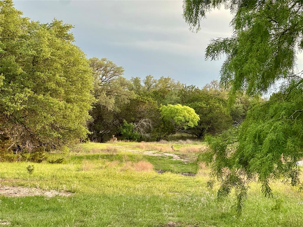 3023 S South Goldthwaite, TX 76844 - Photo 19 of 40 a view of a yard with a house in the background