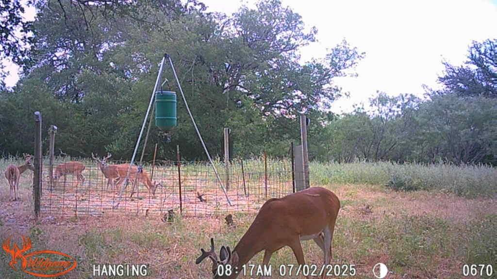 3023 S South Goldthwaite, TX 76844 - Photo 2 of 40 a backyard of a house with table and chairs