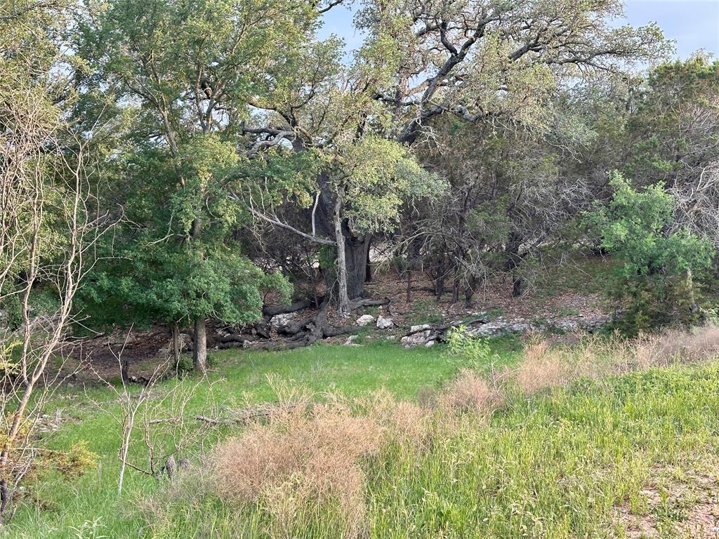 3023 S South Goldthwaite, TX 76844 - Photo 22 of 40 a view of a garden with a tree