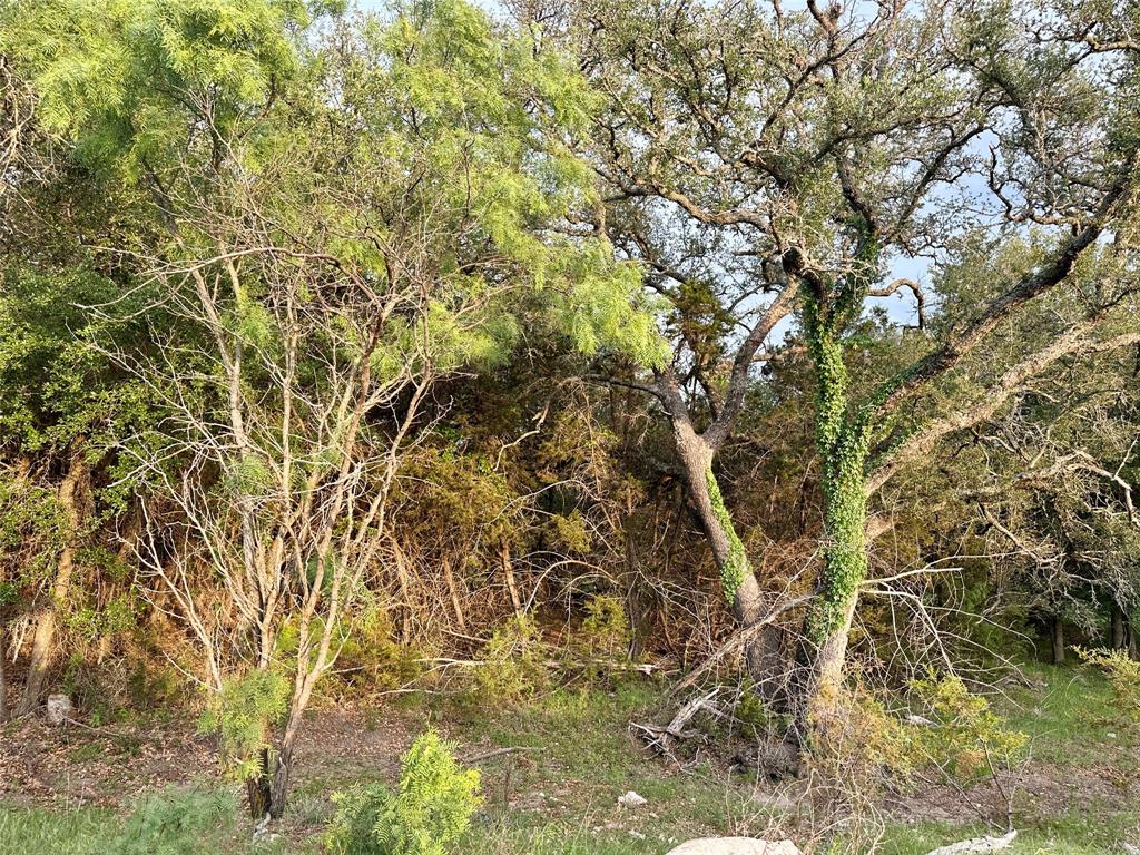 3023 S South Goldthwaite, TX 76844 - Photo 23 of 40 a view of a yard