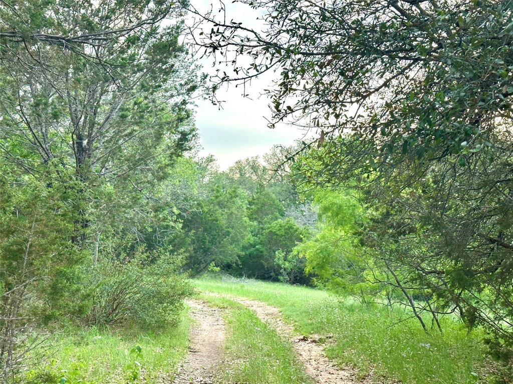 3023 S South Goldthwaite, TX 76844 - Photo 26 of 40 a view of a yard with a tree