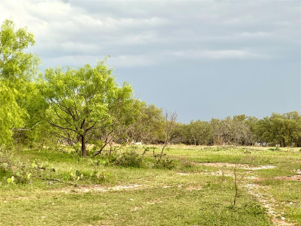 3023 S South Goldthwaite, TX 76844 - Photo 27 of 40 a view of an ocean