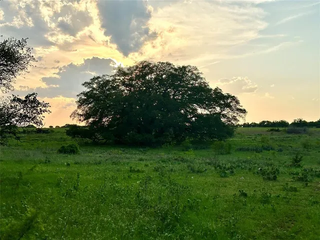 a view of a green yard