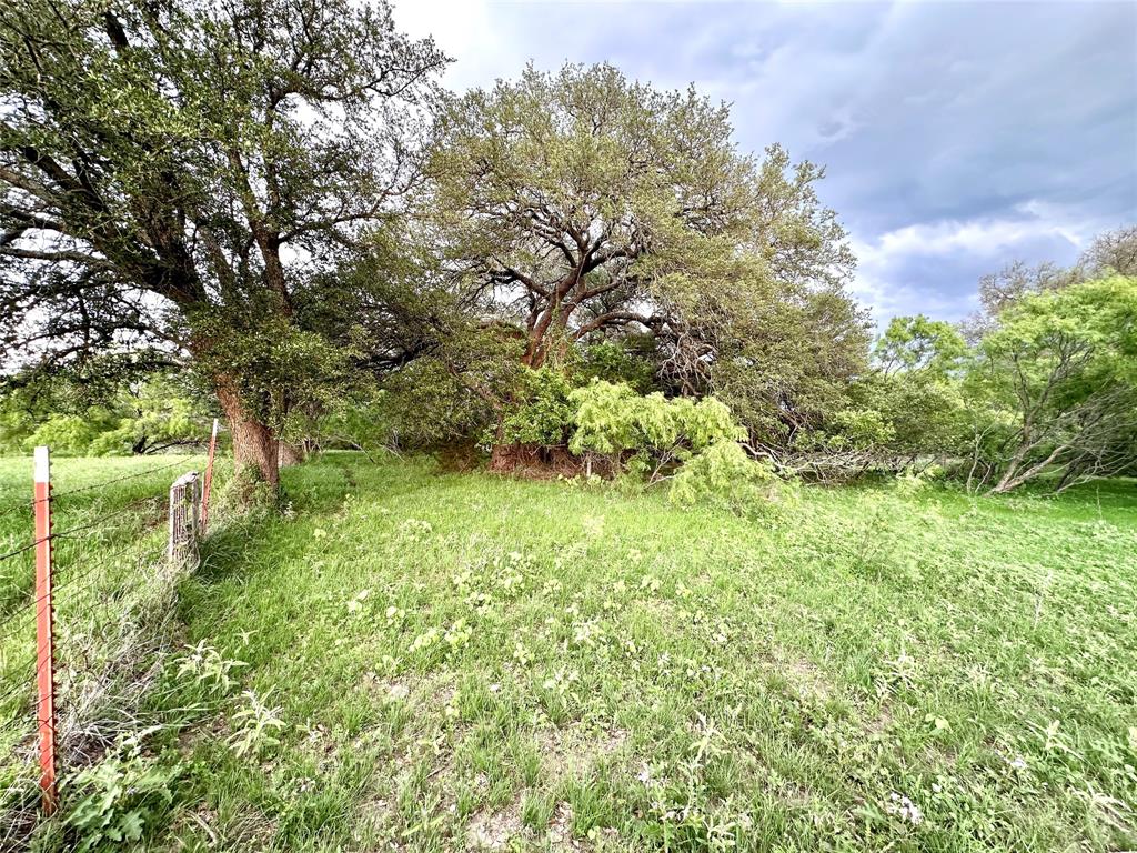 3023 S South Goldthwaite, TX 76844 - Photo 34 of 40 a view of a garden with plants and large trees