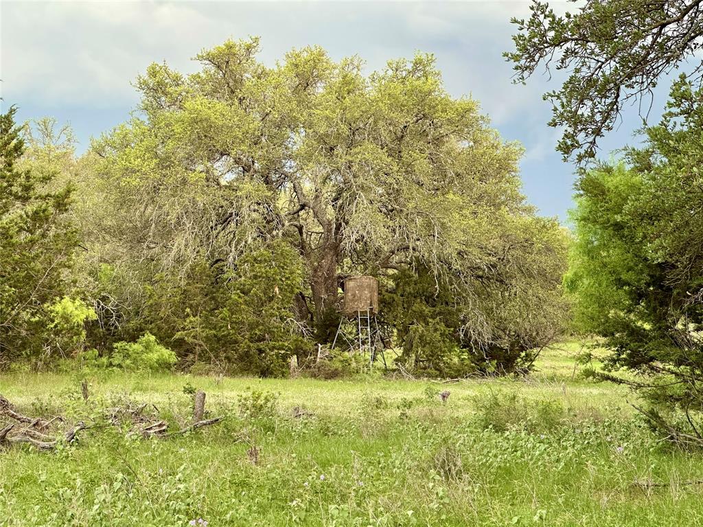 3023 S South Goldthwaite, TX 76844 - Photo 35 of 40 a view of a yard