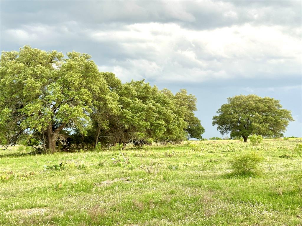 3023 S South Goldthwaite, TX 76844 - Photo 36 of 40