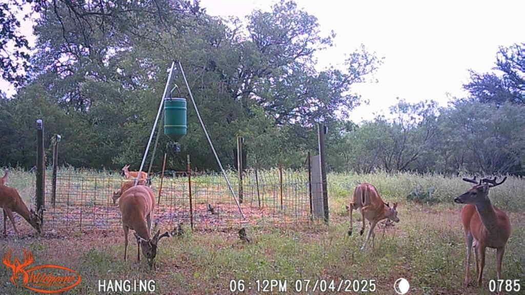 3023 S South Goldthwaite, TX 76844 - Photo 9 of 40 a backyard of a house with table and chairs