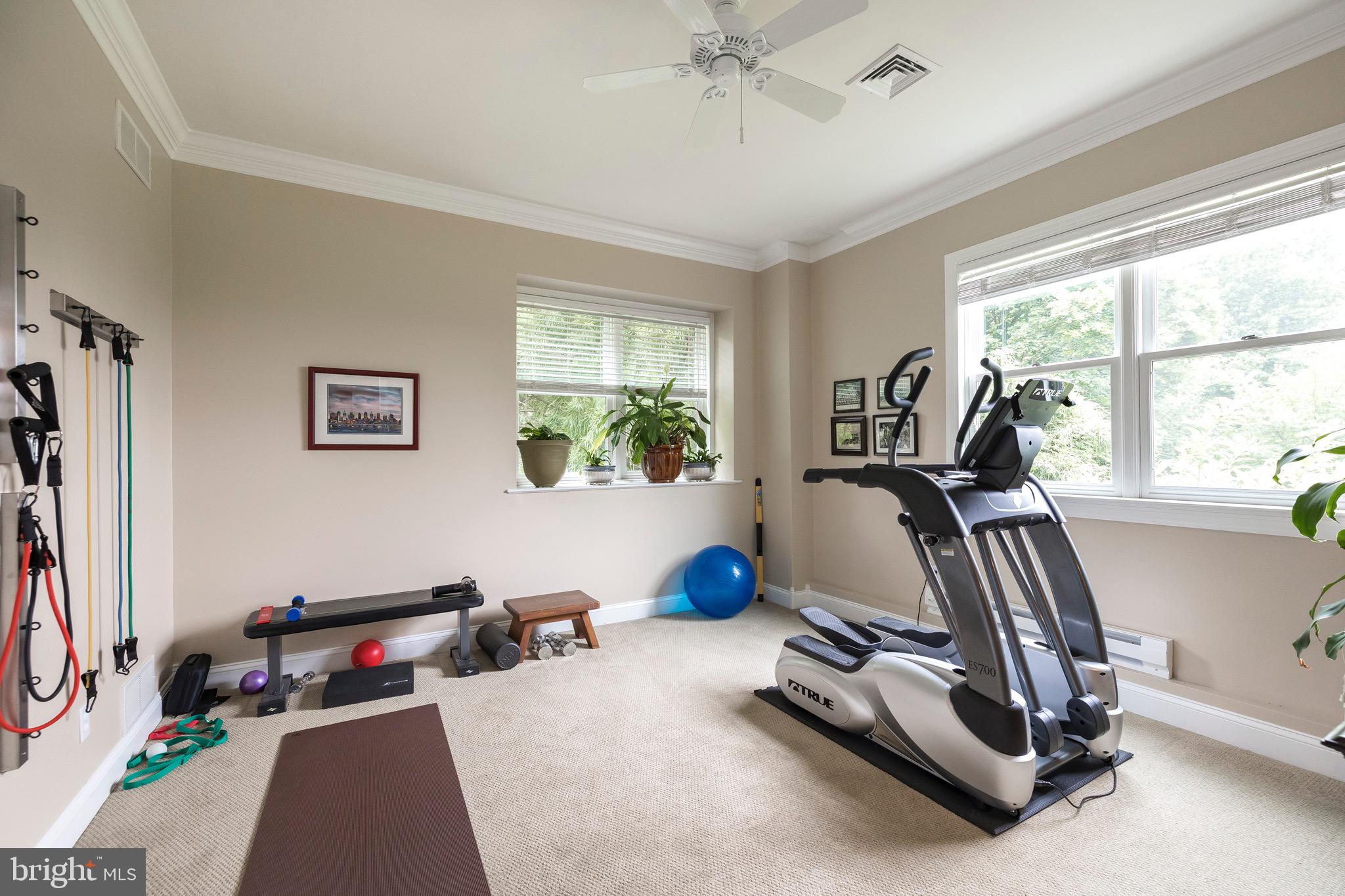 553 St Matthews Road Chester Springs, PA 19425 - Photo 44 of 68 Exercise Room