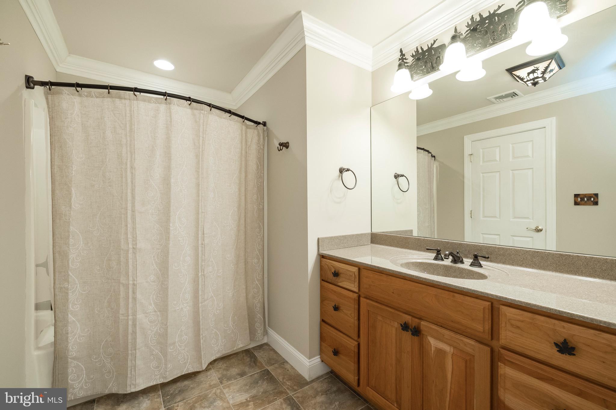 553 St Matthews Road Chester Springs, PA 19425 - Photo 47 of 68 Full Bathroom Lower Level
