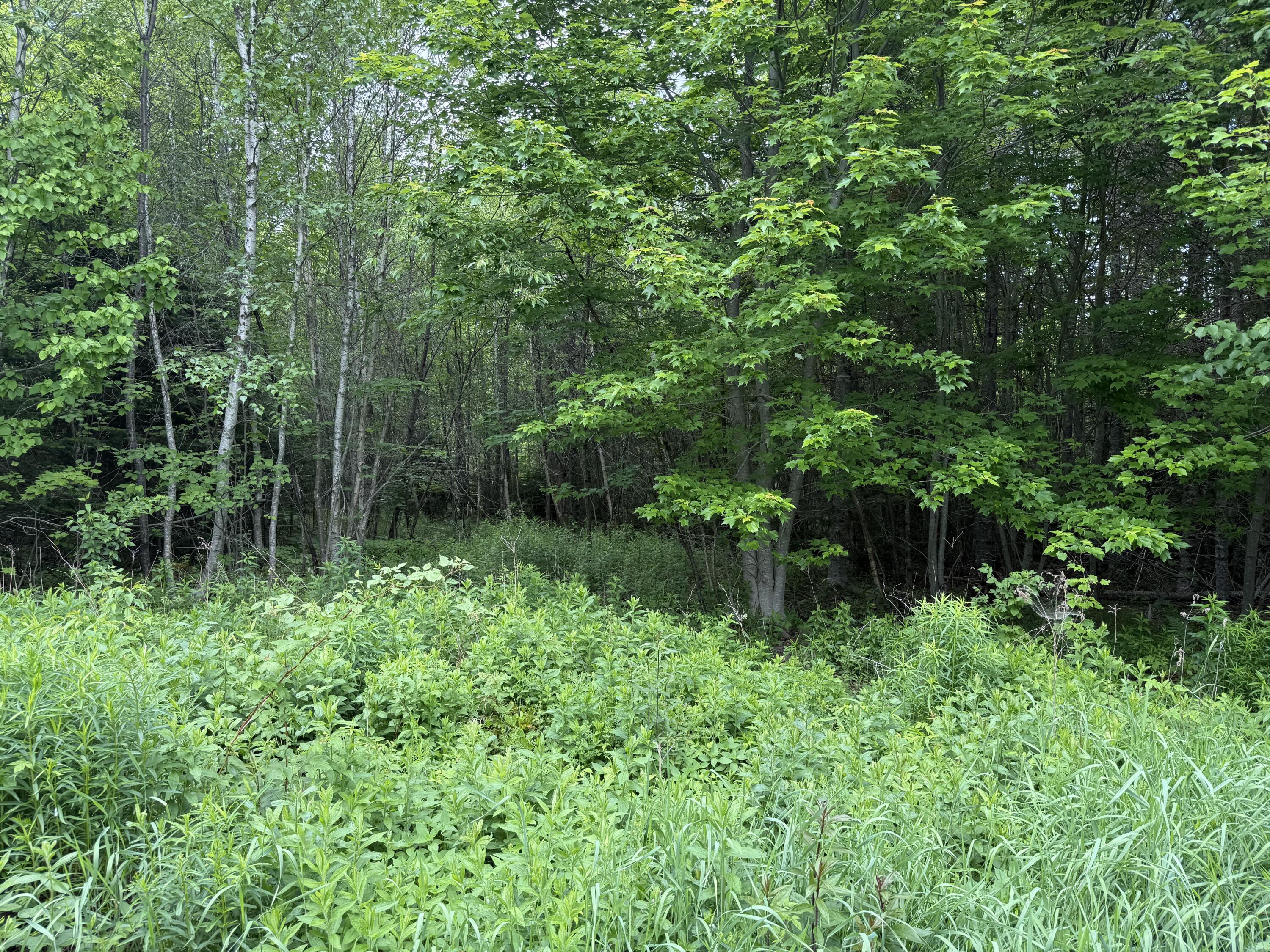 M3-l6-1 Clarkside Road Pembroke, ME 04666 - Photo 10 of 16 IMG_2801