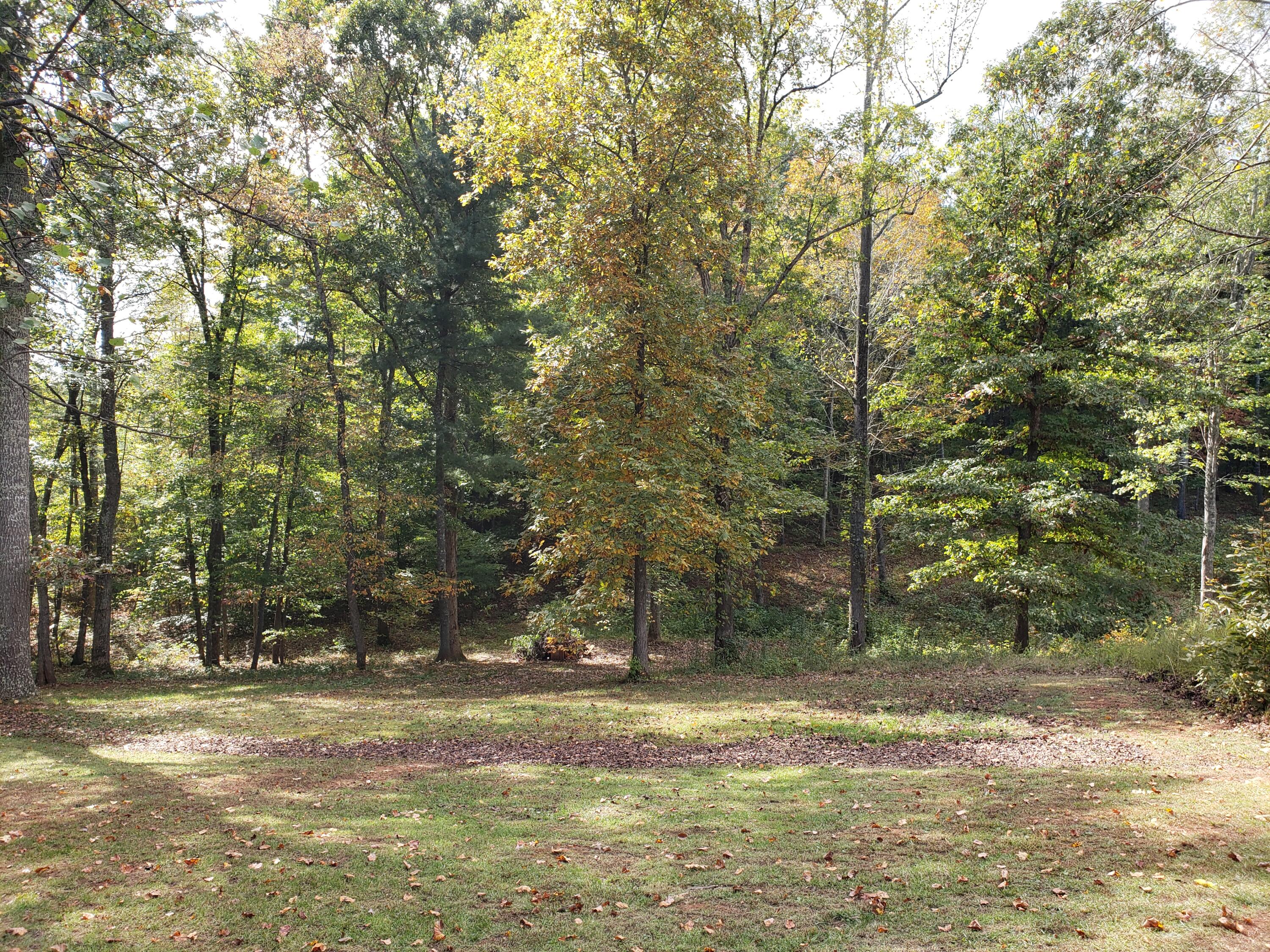137 Outpost Lane Callaway, VA 24067 - Photo 19 of 24 20211021_132404