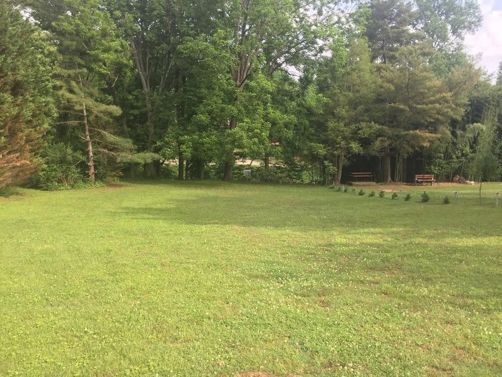 47 Riverview Road Townsend, TN 37882 - Photo 8 of 12 Gallery Image 8