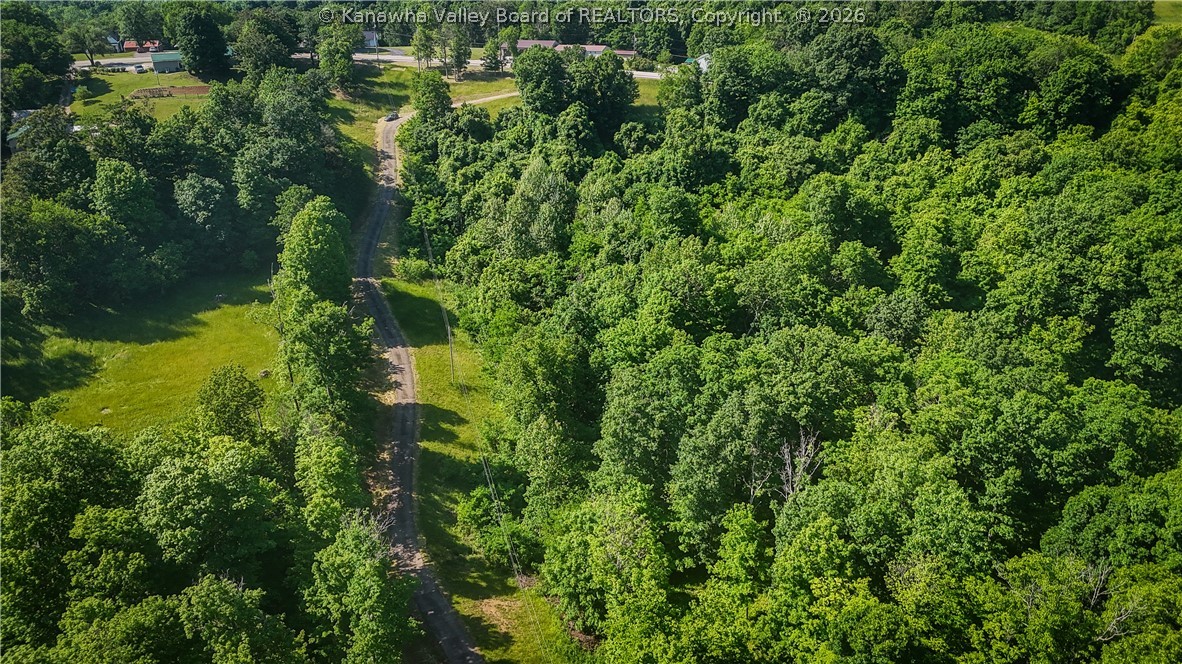 0 River Cv Road Mount Alto, WV 25264 - Photo 3 of 13 Gallery Image 3