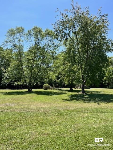 23141 Hill Road Silverhill, AL 36576 - Photo 6 of 7 View of yard