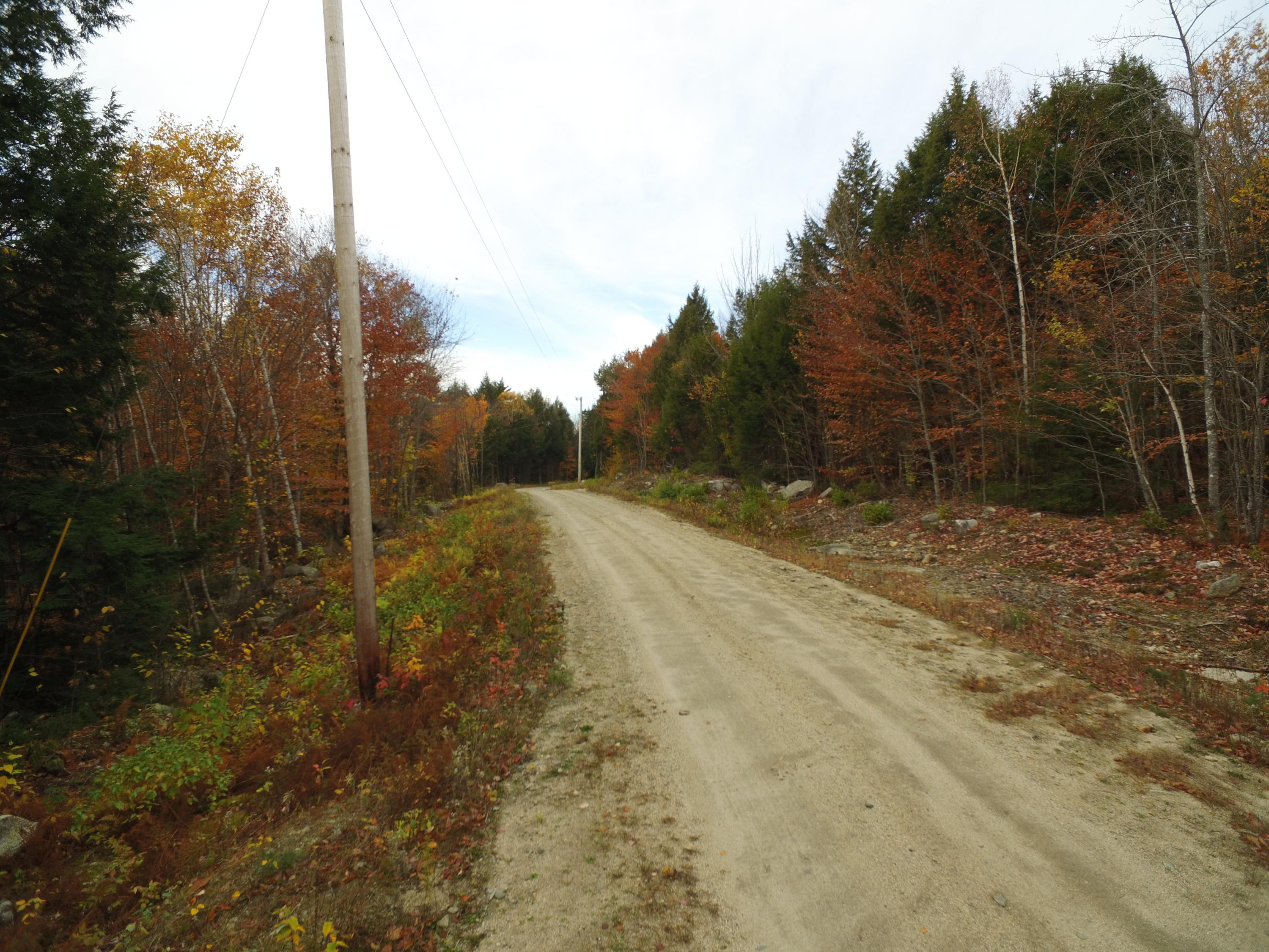 Lot 9 Houston Road Lincoln, ME 04457 - Photo 15 of 15 DJI_0284