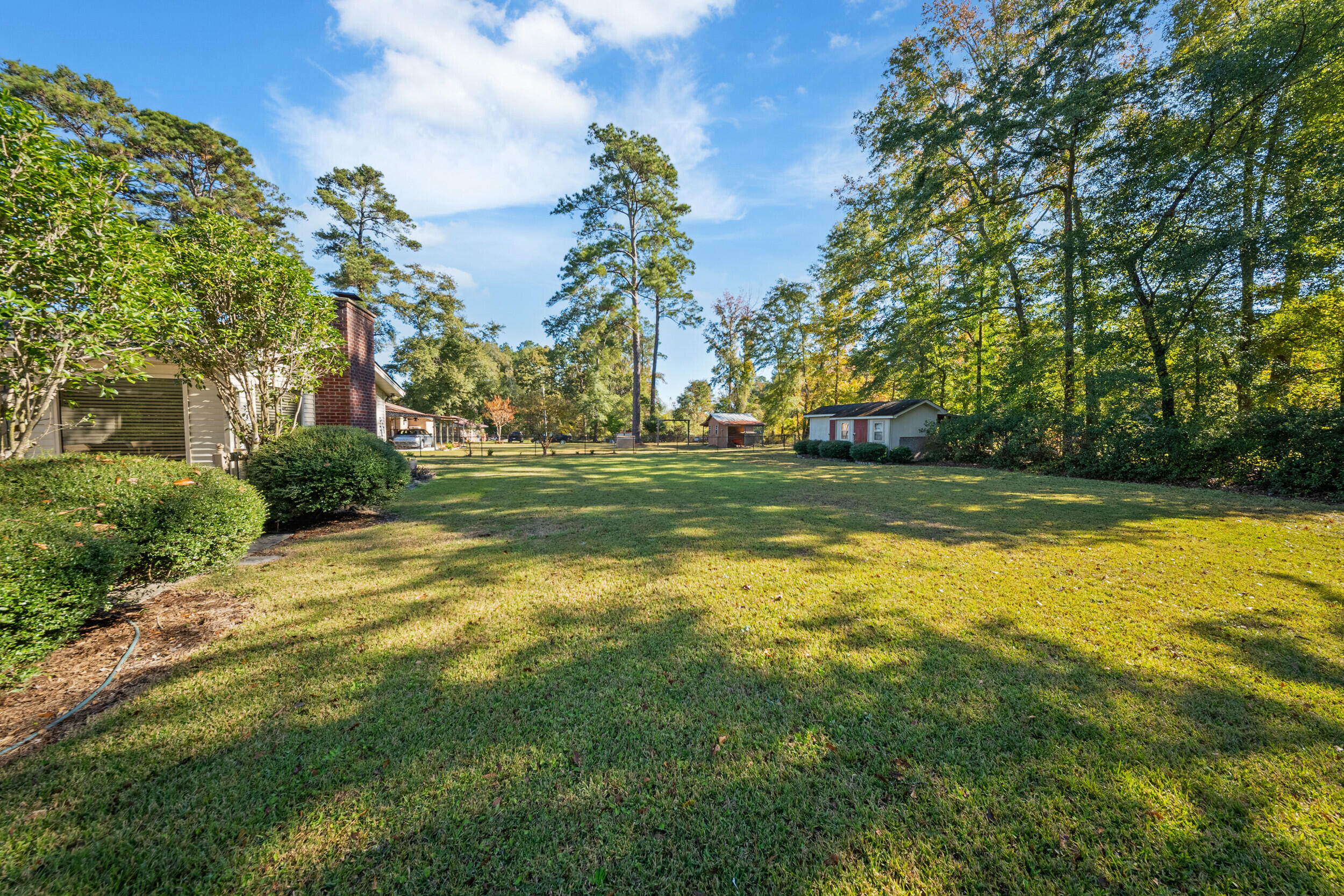 157 State Rd S-5-452 Bamberg, SC 29003 - Photo 27 of 29 157 Charles St backyard2