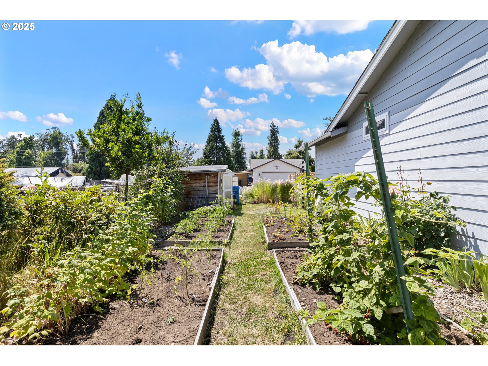 4635 Daisy Street Springfield, OR 97478 - Photo 42 of 44 Yard
