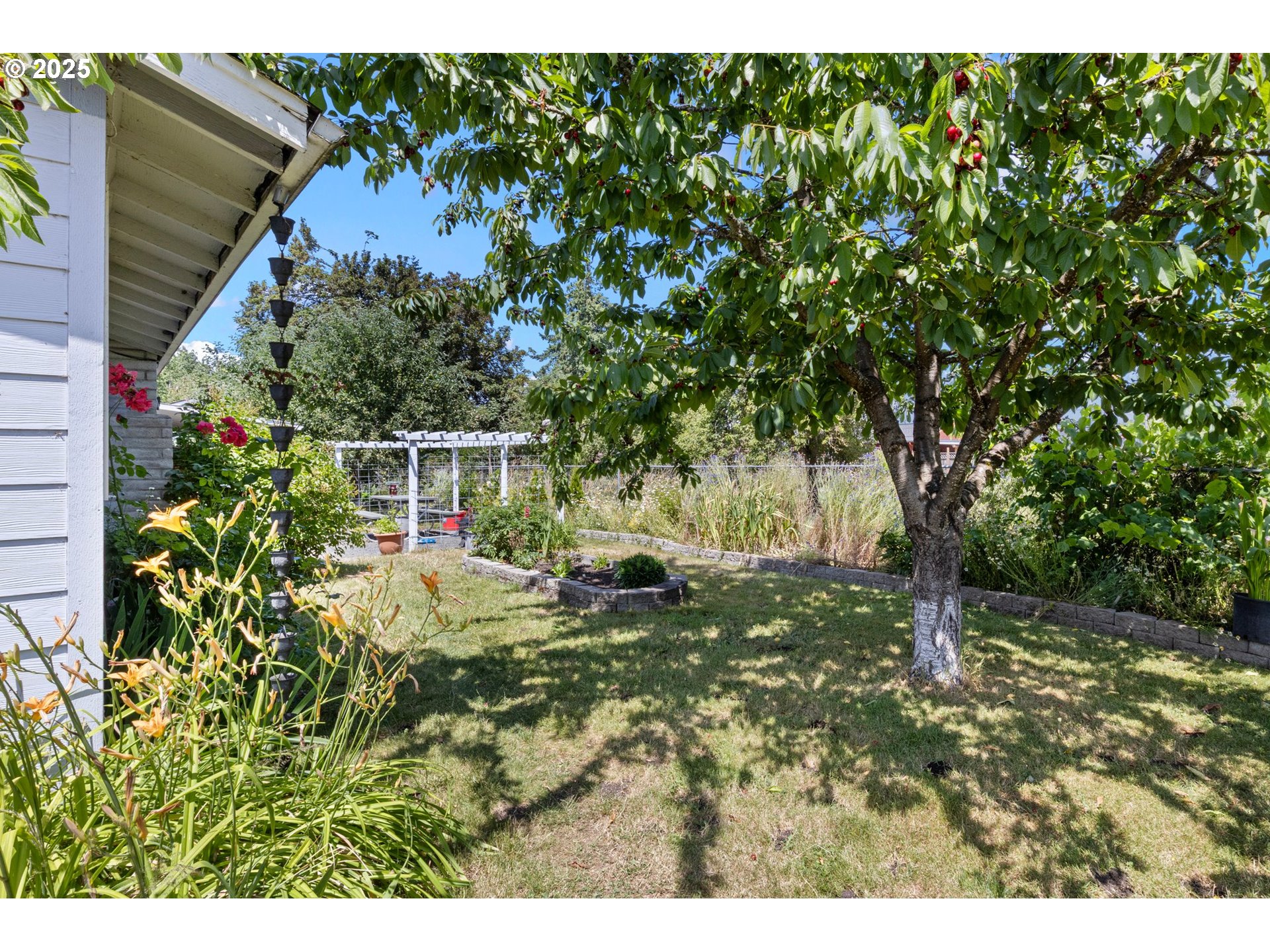 4635 Daisy Street Springfield, OR 97478 - Photo 43 of 44 Backyard
