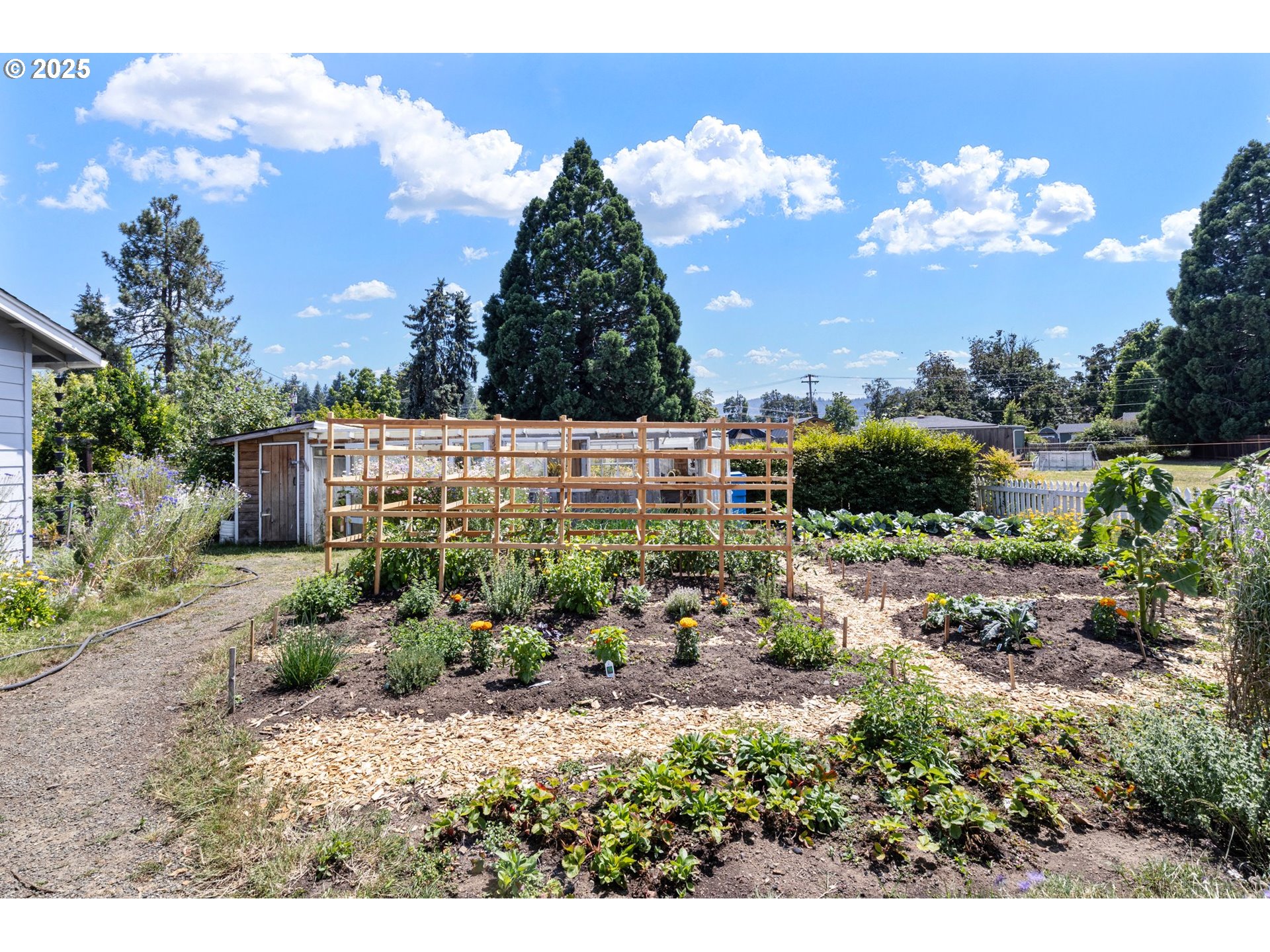 4635 Daisy Street Springfield, OR 97478 - Photo 44 of 44 Garden