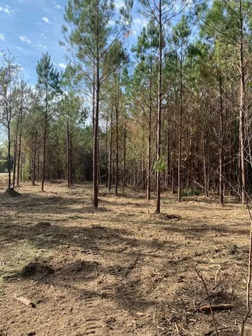 $50,902 | Undisclosed Address, Smithdale, MS 39664