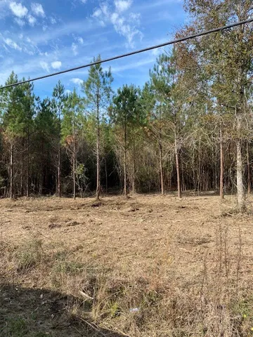 $50,902 | Undisclosed Address, Smithdale, MS 39664