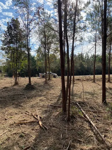 $50,902 | Undisclosed Address, Smithdale, MS 39664