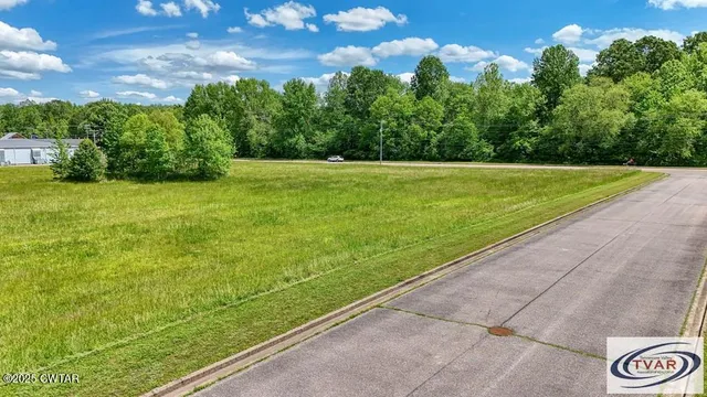 a view of yard with green space