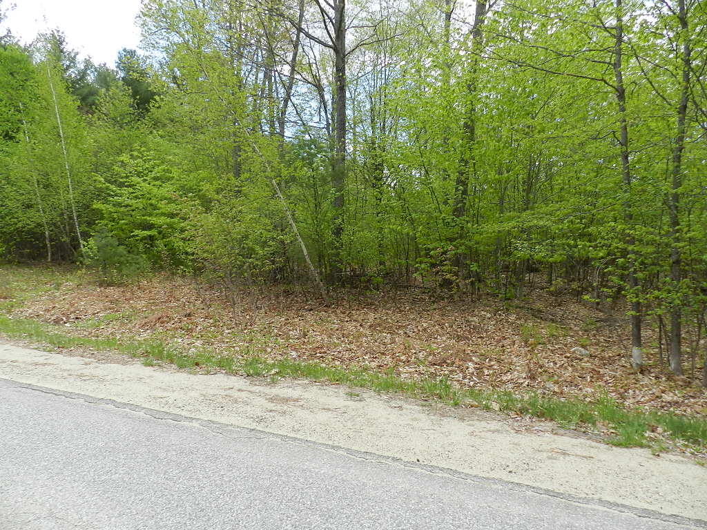 Lot #40 Parsons Road Norway, ME 04268 - Photo 25 of 25 DSCN3112