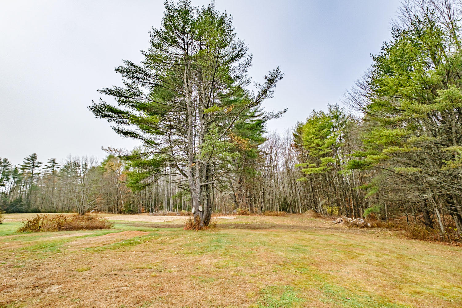874 River Road Hollis Center, ME 04042 - Photo 12 of 43 20201109gp-61068