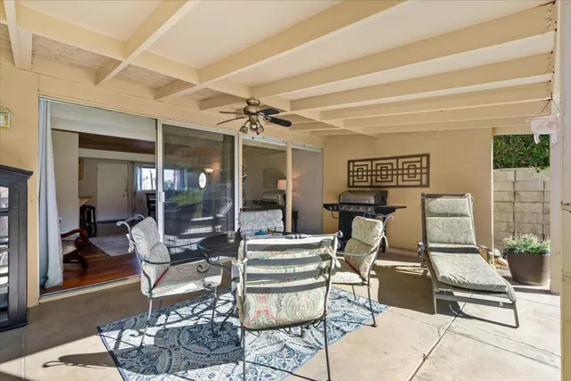 a outdoor space with lots of chairs and a potted plant