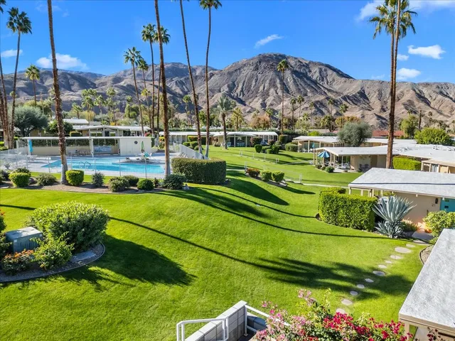 a view of a park with large trees