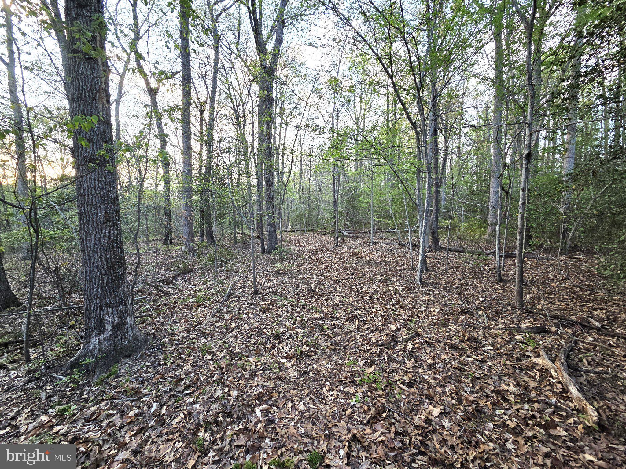 2577 Rutland Road Davidsonville, MD 21035 - Photo 10 of 16 Gallery Image 10