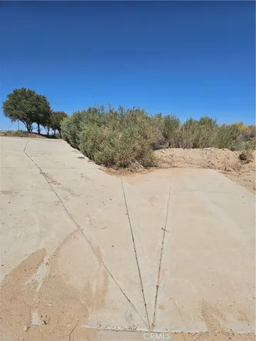 a view of a dry yard with a tree