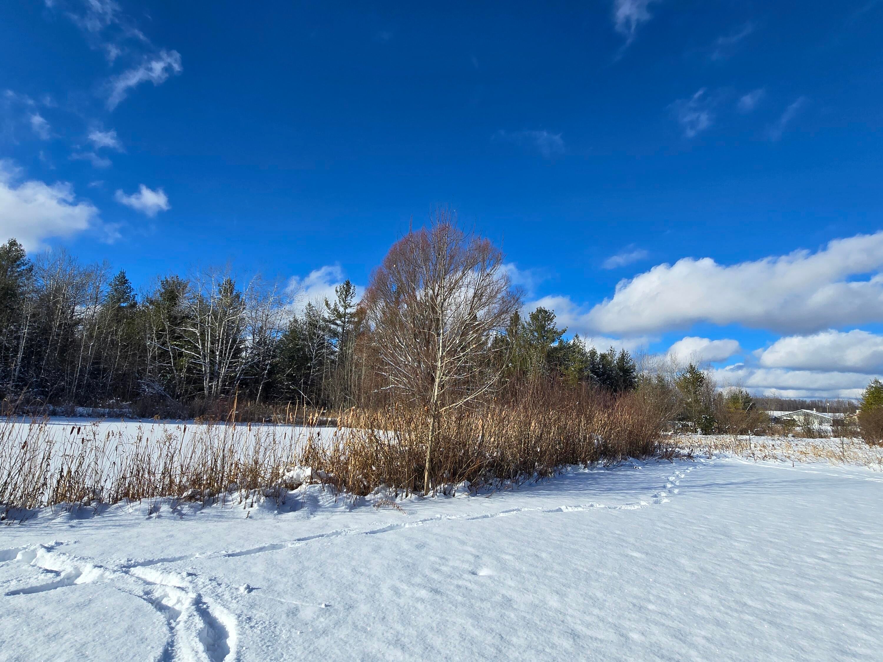 435 North Mt Tom Road Mio, MI 48647 - Photo 40 of 76 20251202_134300