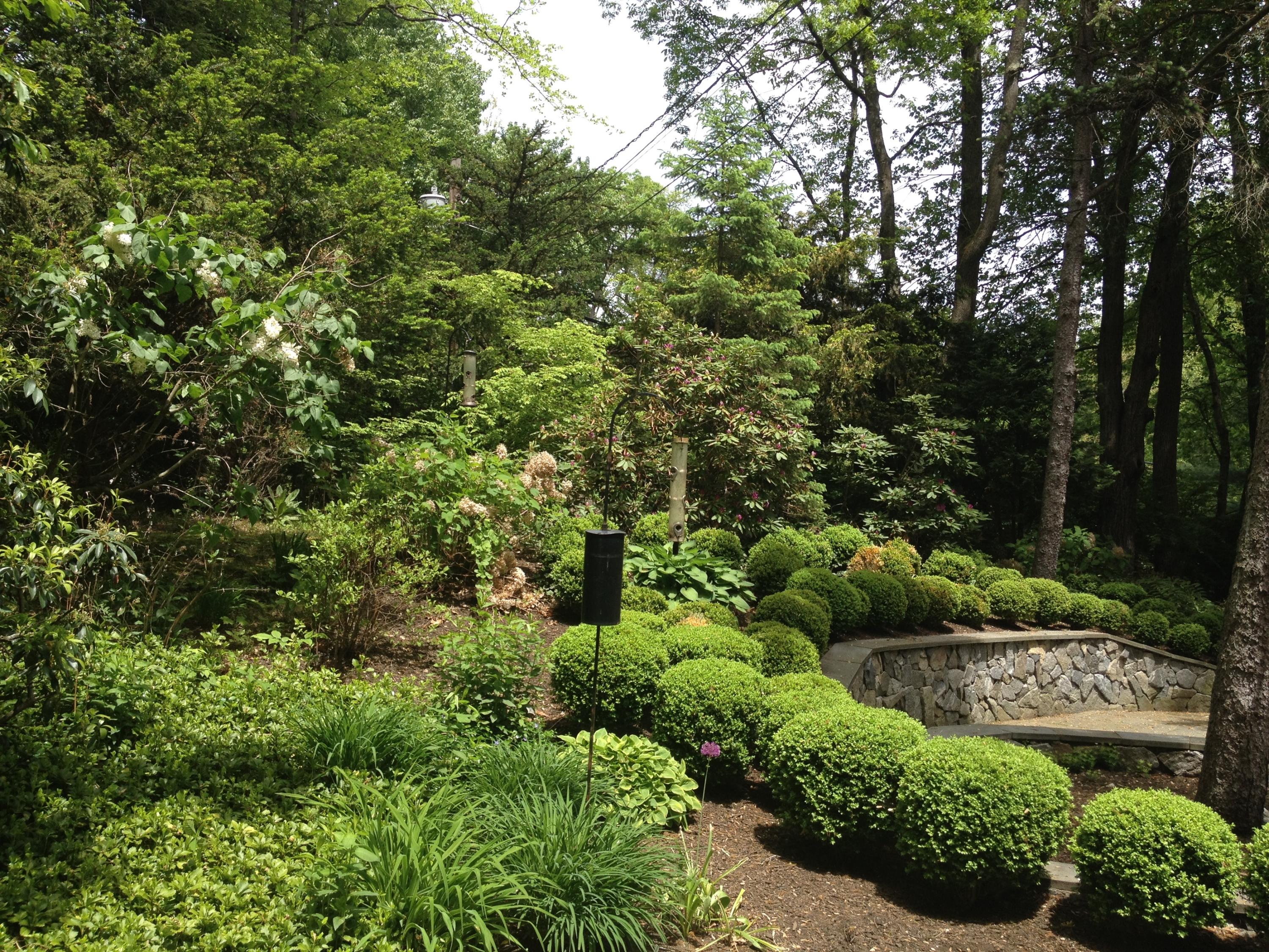 65 Nursery Road New Canaan, CT 06840 - Photo 30 of 37 a view of a garden with plants