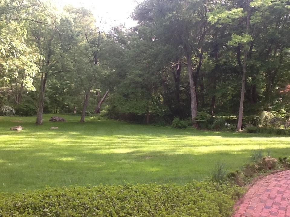 65 Nursery Road New Canaan, CT 06840 - Photo 35 of 37 a view of a swimming pool with a yard